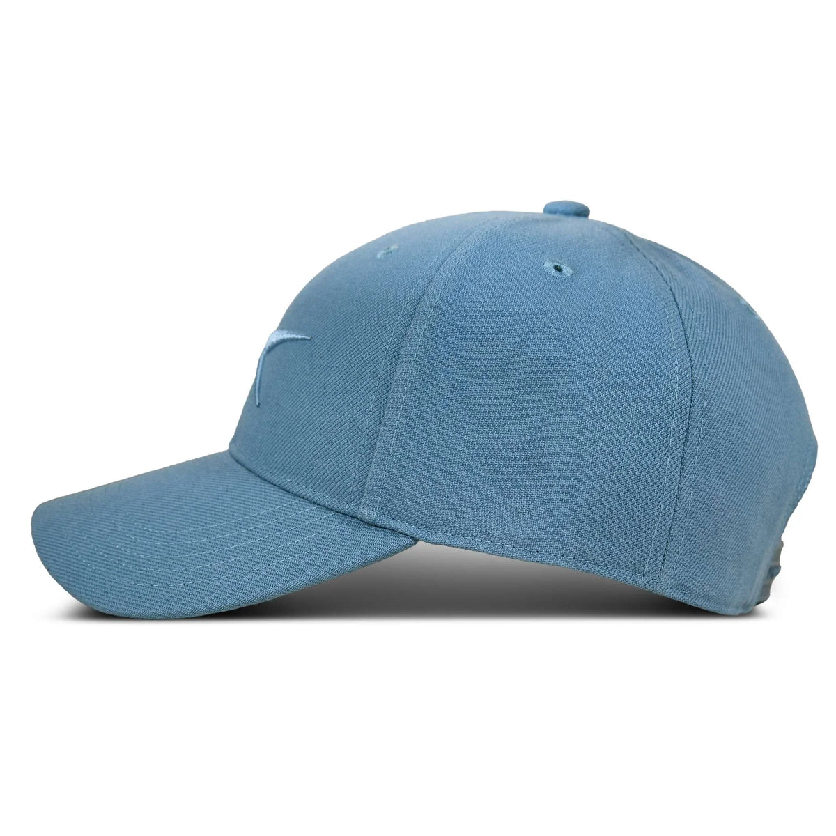 Vector Baseball Cap