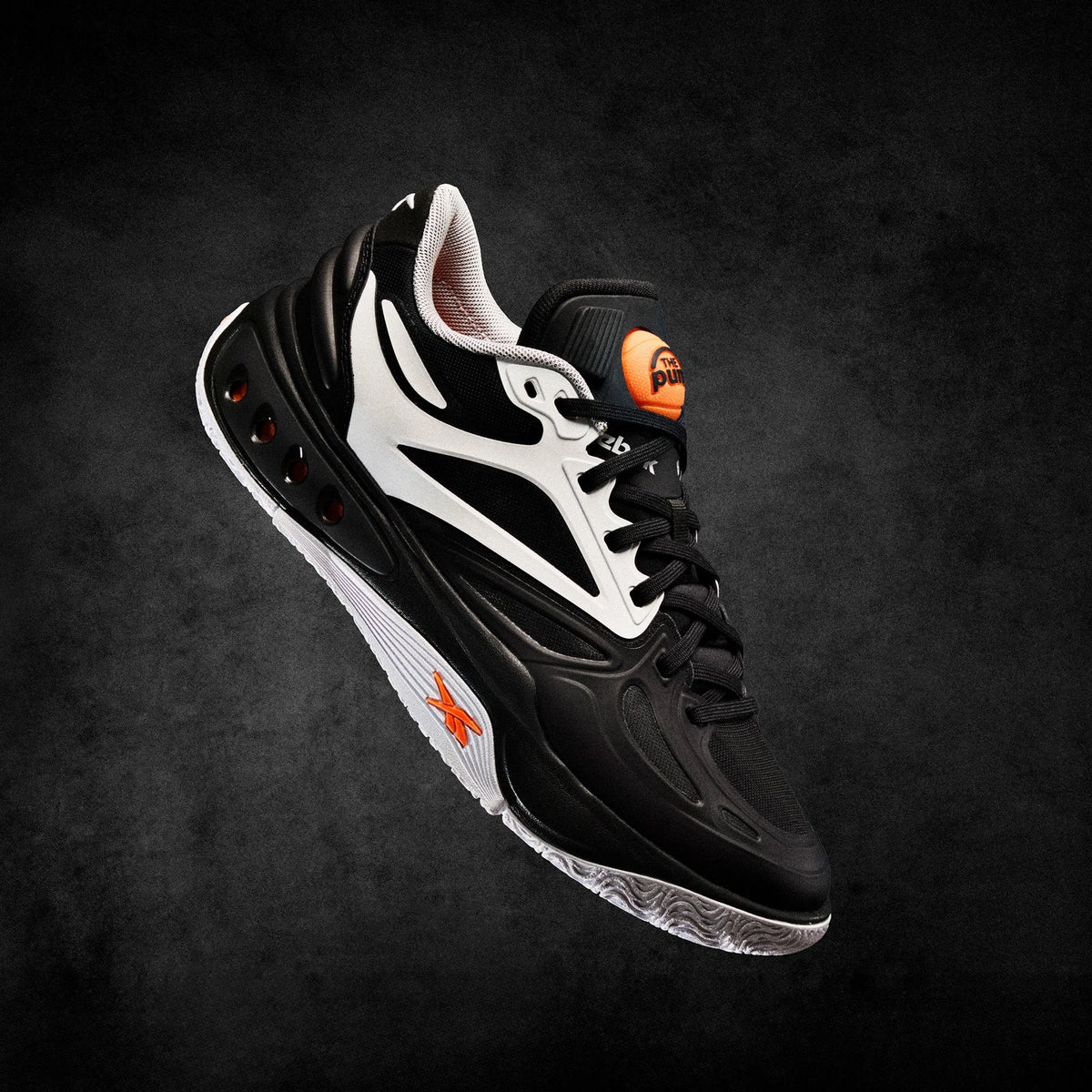 Engine A Pump Shoes
